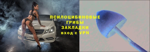 прущие крисы Кулебаки